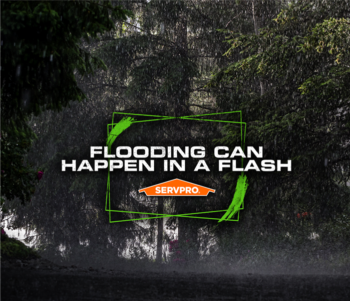 Raindrops coming down trees, with the caption: FLOODING CAN HAPPEN IN A FLASH